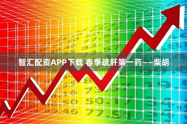 智汇配资APP下载 春季疏肝第一药——柴胡