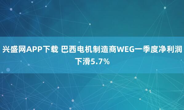 兴盛网APP下载 巴西电机制造商WEG一季度净利润下滑5.7%