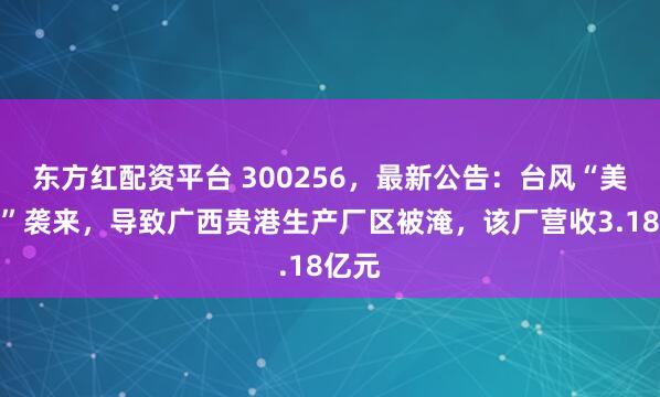 东方红配资平台 300256，最新公告：台风“美莎克”袭来，导致广西贵港生产厂区被淹，该厂营收3.18亿元